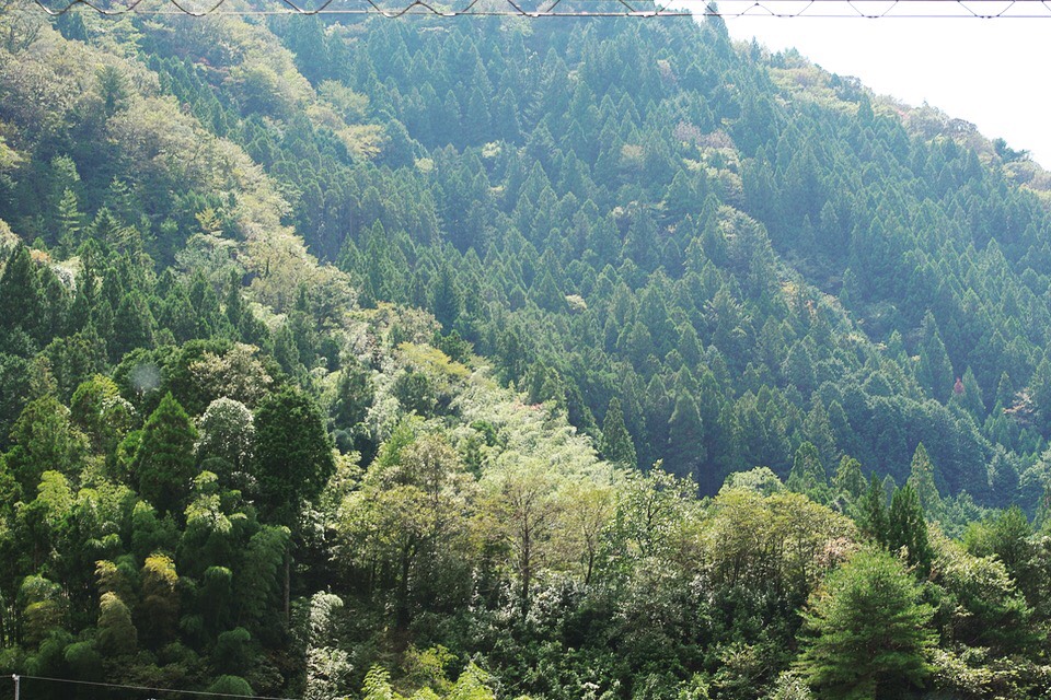 四国カルスト,山並み,